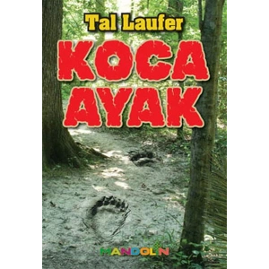 Koca Ayak