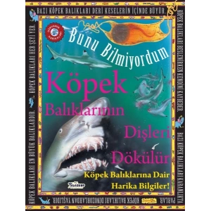 Köpek Balıklarının Dişleri Dökülür - Bunu Bilmiyordum - Köpek Balıklarına Dair Harika Bilgiler!