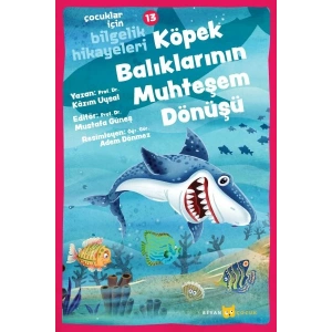 Köpek Balıklarının Muhteşem Dönüşü - Çocuklar İçin Bilgelik Hikayeleri 13