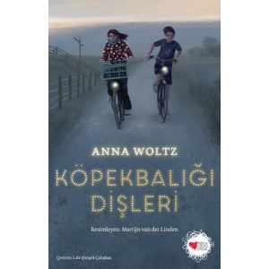 Köpekbalığı Dişleri