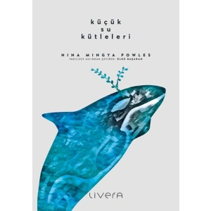 Küçük Su Kütleleri