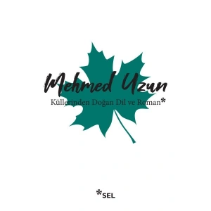 Küllerinden Doğan Dil ve Roman