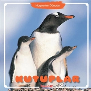 Kutuplar - Hayvanlar Dünyası