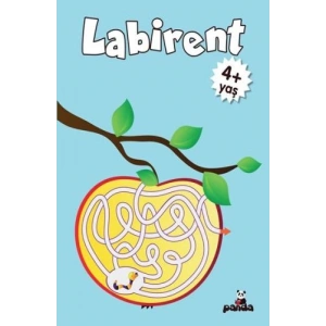 Labirent 4 Yaş