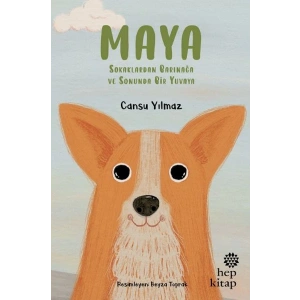 Maya - Sokaklardan Barınağa ve Sonunda Bir Yuvaya