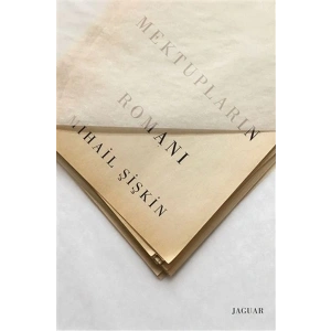 Mektupların Romanı