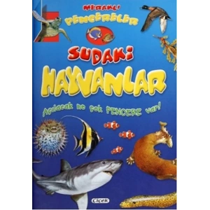 Meraklı Pencereler Sudaki Hayvanlar