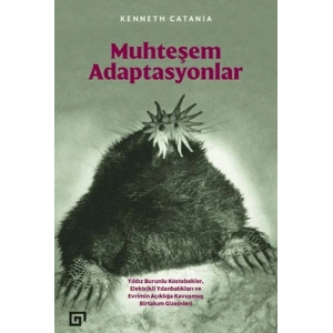 Muhteşem Adaptasyonlar