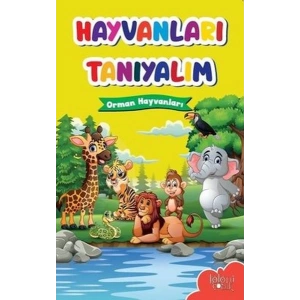 Muhteşem Çizimler ve Kolay Anlatım ile Hayvanları Tanıyalım Orman Hayvanları