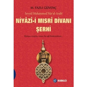 Niyazi-i Mısri Divanı Şerhi