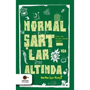 Normal Şartlar Altında