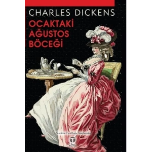 Ocaktaki Ağustos Böceği