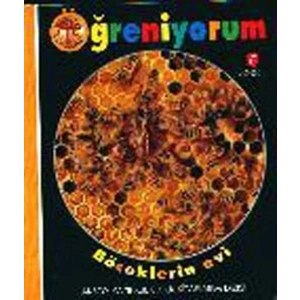 Öğreniyorum  Böceklerin Evi (Ciltli)