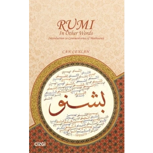 Rumi In Other Words Introduction to Commentaries of Mathnawi
