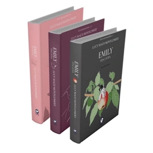 Rüzgârın Kızı Emily Serisi (3 Kitap)