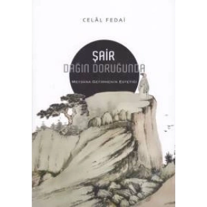 Şair Dağın Doruğunda - Meydana Getirmemenin Estetiği