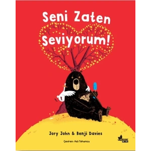 Seni Zaten Seviyorum