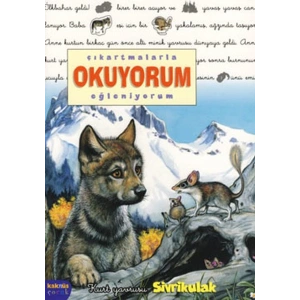 Sivrikulak / Çıkartmalarla Okuyorum Eğleniyorum