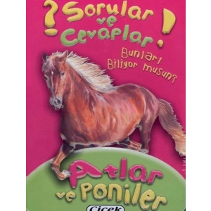 Sorular Ve Cevaplar Kart Atlar Ve Poniler