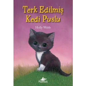 Terk Edilmiş Kedi Puslu