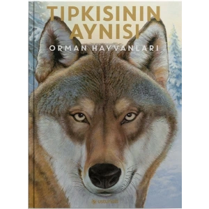 Tıpkısının Aynısı