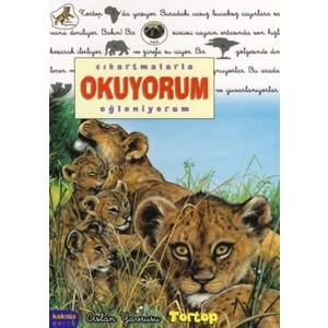 Tortop / Çıkartmalarla Okuyorum Eğleniyorum