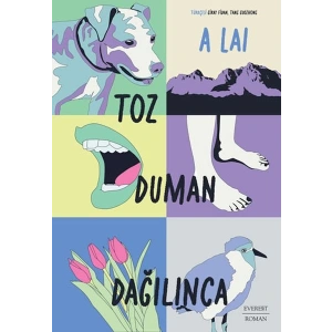 Toz Duman Dağılınca