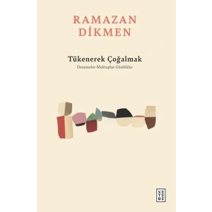 Tükenerek Çoğalmak Denemeler, Mektuplar, Günlükler