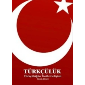 Türkçülük / Türkçülüğün Tarihi Gelişimi