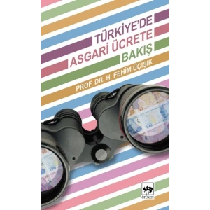 Türkiyede Asgari Ücrete Bakış