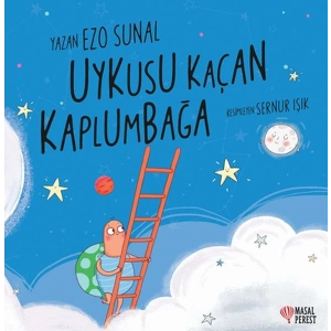 Uykusu Kaçan Kaplumbağa
