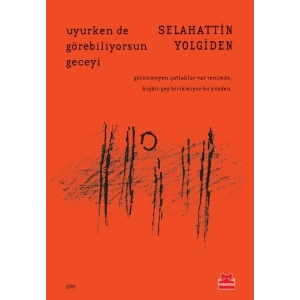 Uyurken de Görebiliyorsun Geceyi