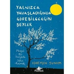 Yalnızca Yavaşladığında Görebileceğin Şeyler (Ciltli)