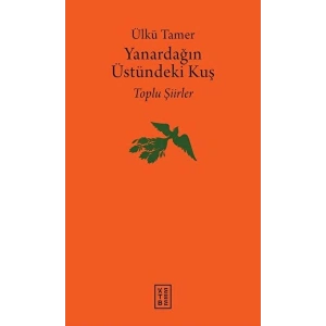 Yanardağın Üstündeki Kuş