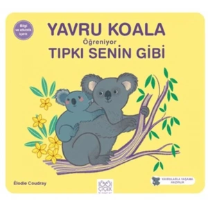 Yavru Koala Öğreniyor Tıpkı Senin Gibi