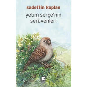 Yetim Serçenin Serüvenleri