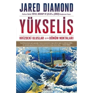 Yükseliş: Krizdeki Uluslar İçin Dönüm Noktaları - Ciltsiz