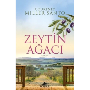 Zeytin Ağacı