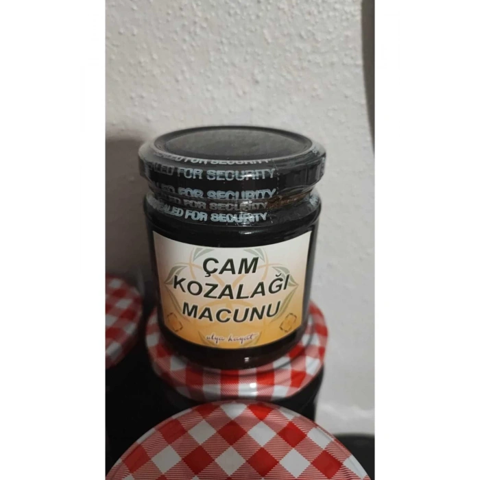Ulya Hayat’tan Çam Kozalağı Macunu Ibn-i Sina Terkibi Şifa Deposu