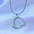 316L Çelik Gümüş Renk Ay Yıldız Model Unisex Kolye