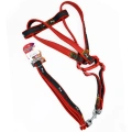 Euro Dog Köpek Uzatma Tasması ve Göğüs Tasması Takımı Kırmızı/Siyah 25 Mm 120 Cm - 454-JCLH736-KIRMI