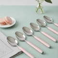 6’lı Paslanmaz Çelik Tatlı Kaşığı Seti Somon Pembe Saplı 15 cm