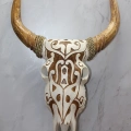 Ahşap Duvara Asmalı Bufalo Kafası