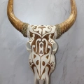 Ahşap Duvara Asmalı Bufalo Kafası Galıleo-7