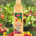 Alıç Sirkesi % 100 doğal Katkısız 500 ml