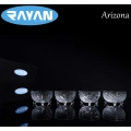 Arizona 6lı Cam Kase Büyük Royaleks-69420