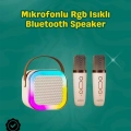 BFS İki Mikrofonlu Renkli LED Işıklı Karaoke Cihazı
