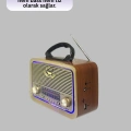 BFS Taşınabilir Nostalji Radyo Bluetooth USB AUX Girişli