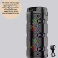 BFS USB, SD Kart ve AUX Girişli Taşınabilir Hoparlör