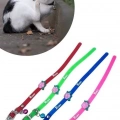 Çıngıraklı Zilli Sevimli Renkli Slikon Kedi Köpek Boyun Tasması